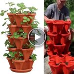 Set de ghivece verticale (3pcs) – video