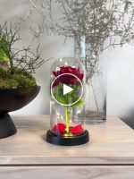 Trandafiri luminoși în ambalaj de lux – video