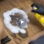 Detergent spumant – video
