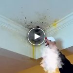 Spray de curățare împotriva mucegaiului pentru pereți – video